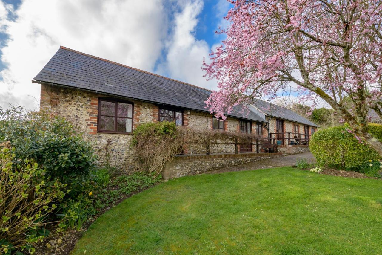 Luccombe Farm Holiday Cottages Milton Abbas Экстерьер фото