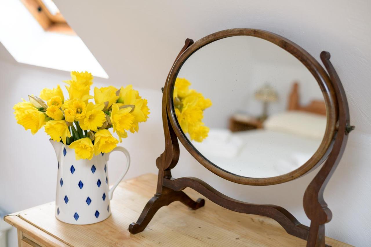 Luccombe Farm Holiday Cottages Milton Abbas Экстерьер фото