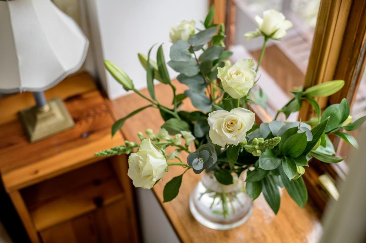 Luccombe Farm Holiday Cottages Milton Abbas Экстерьер фото