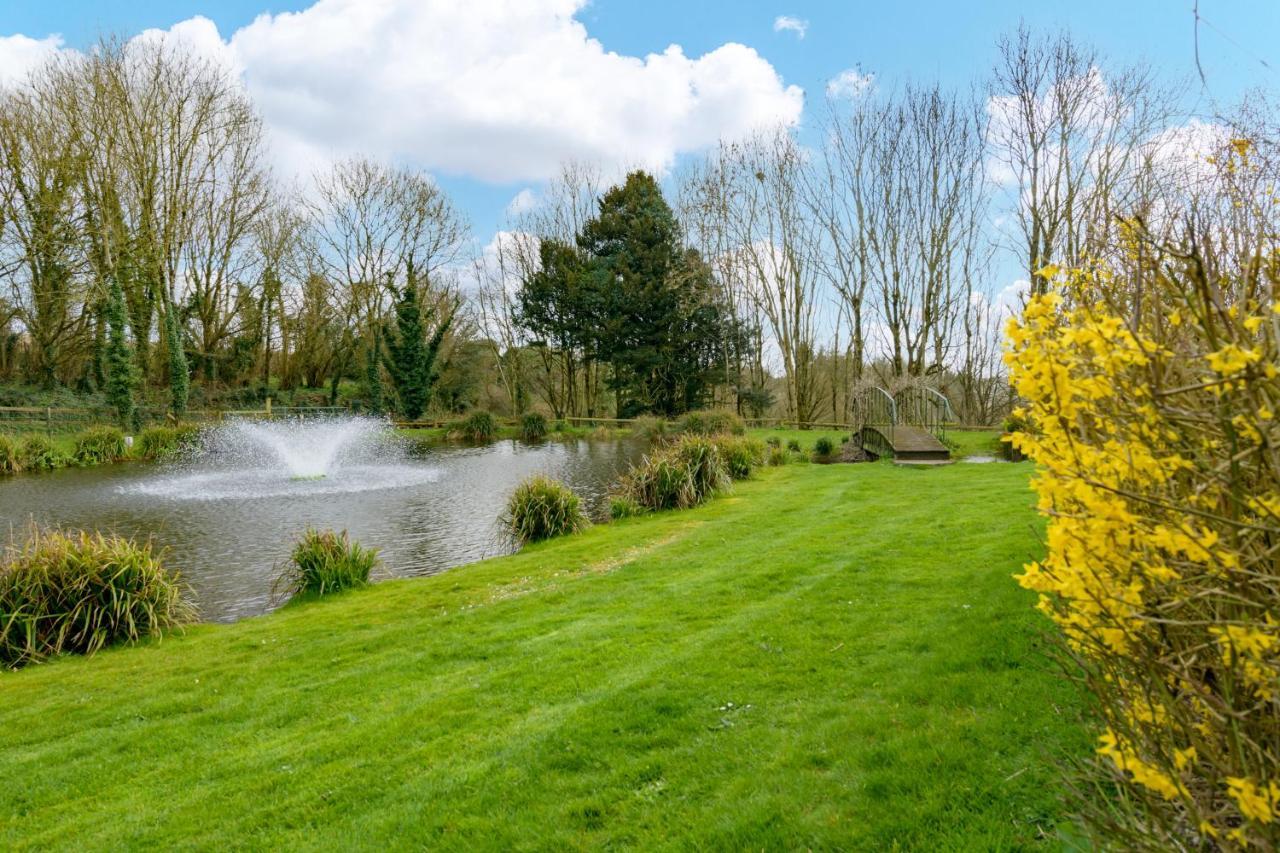 Luccombe Farm Holiday Cottages Milton Abbas Экстерьер фото