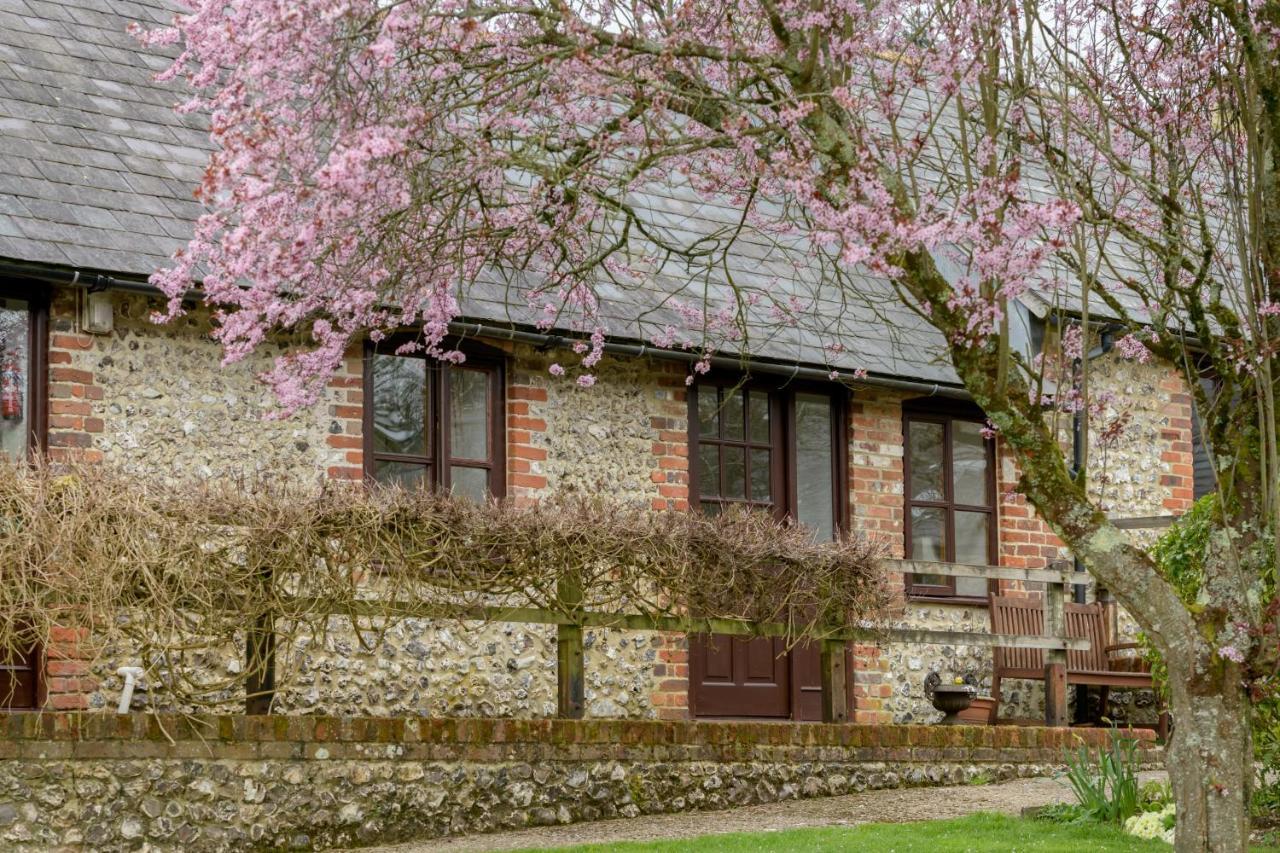 Luccombe Farm Holiday Cottages Milton Abbas Экстерьер фото