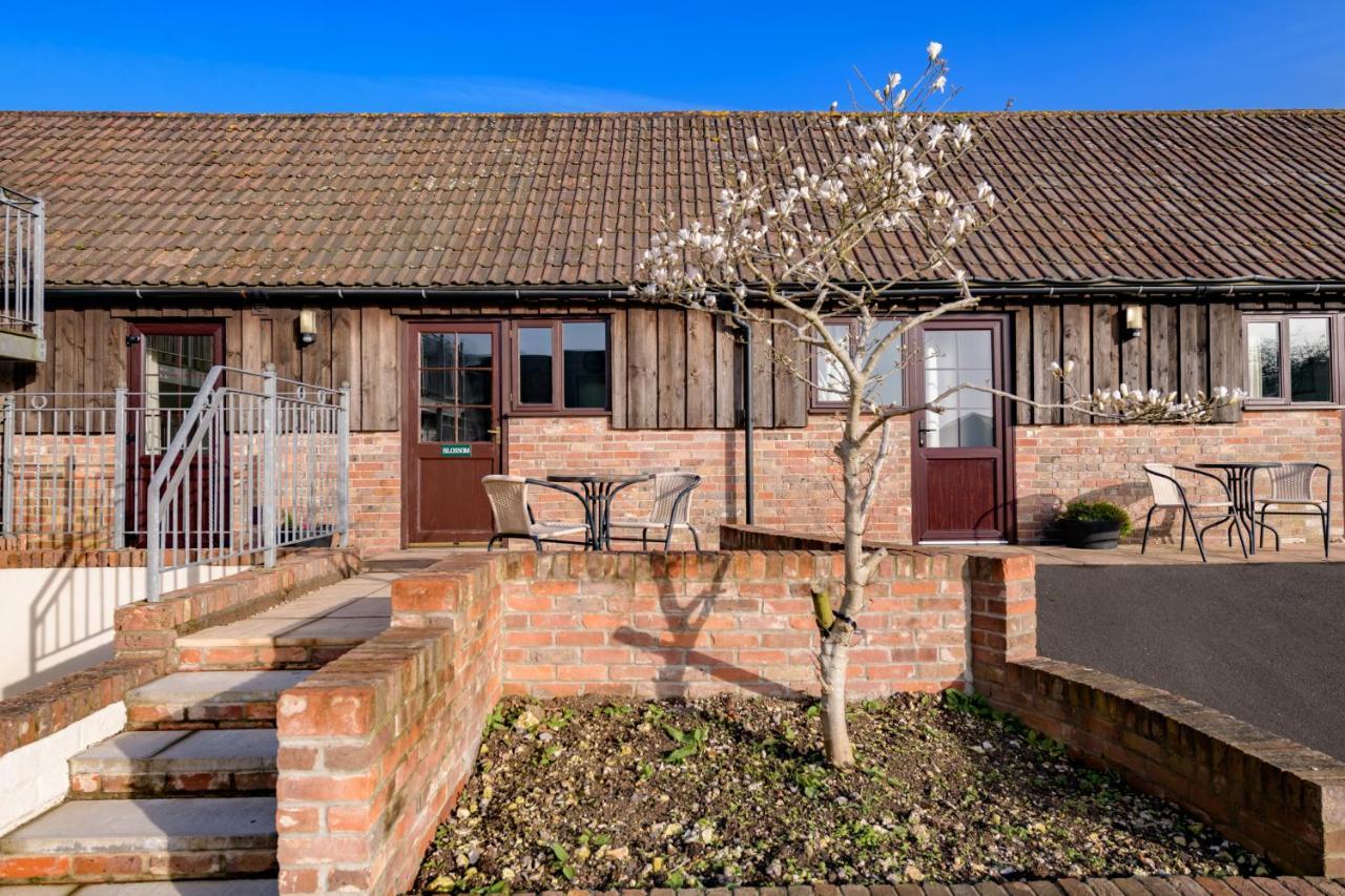 Luccombe Farm Holiday Cottages Milton Abbas Экстерьер фото