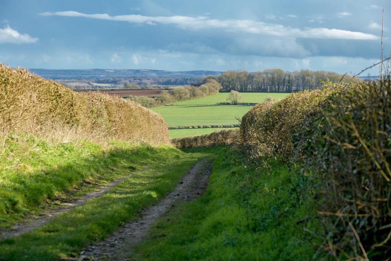 Luccombe Farm Holiday Cottages Milton Abbas Экстерьер фото