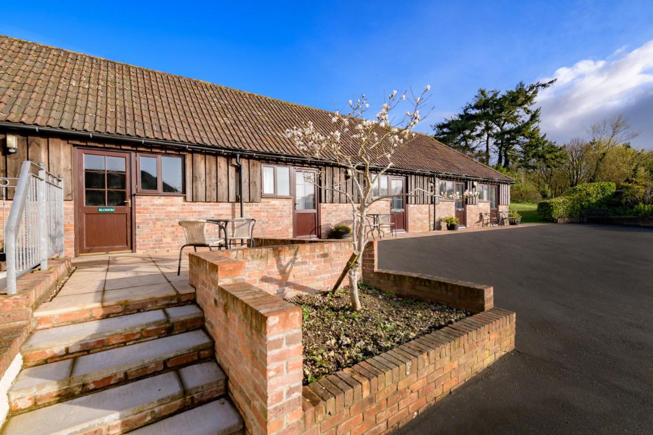 Luccombe Farm Holiday Cottages Milton Abbas Экстерьер фото